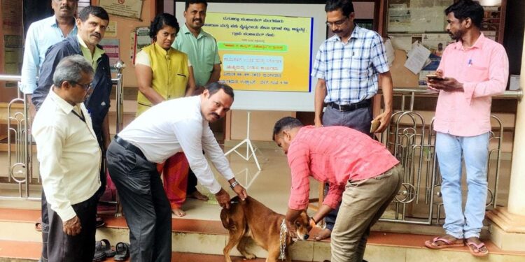 ಕೇಪು: ಗ್ರಾ.ಪಂ. ವ್ಯಾಪ್ತಿಯಲ್ಲಿ ಉಚಿತ ಹುಚ್ಚು ನಾಯಿ ನಿರೋಧಕ ಚುಚ್ಚುಮದ್ದು ಲಸಿಕಾ ಕಾರ್ಯಕ್ರಮ