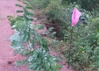 ವಿಟ್ಲ: ಅಪಾಯದಂಚಿನಲ್ಲಿ ಜಠಾಧಾರಿ-ಕೋಟಿಕೆರೆ ಸಂಪರ್ಕದ ರಸ್ತೆ..!!