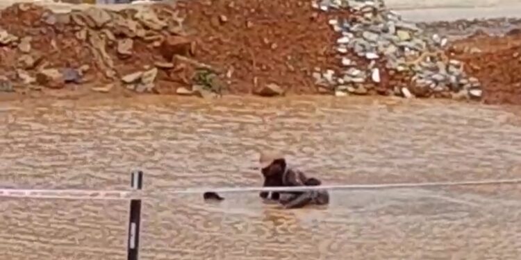 ಕಲ್ಲಡ್ಕದಲ್ಲಿ ಹೊಸದಾಗಿ ಆರಂಭಗೊಂಡಿದೆ ಈಜುಕೊಳ: ರಸ್ತೆಯ ಮಧ್ಯದ ಈಜುಕೊಳದಲ್ಲಿ ಜಲಕ್ರೀಡೆಯಾಡಿದ ವ್ಯಕ್ತಿ: ವೀಡಿಯೊ ವೈರಲ್..!!