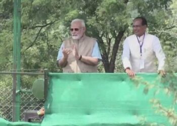 8 ಚೀತಾಗಳನ್ನು ಕುನೋ ನ್ಯಾಷನಲ್ ಅರಣ್ಯಕ್ಕೆ ಬಿಡುಗಡೆ ಮಾಡಿದ ಪ್ರಧಾನಿ ಮೋದಿ