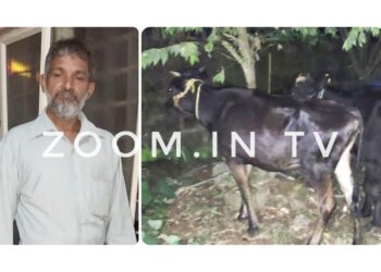 ಹಿಂ.ಜಾ.ವೇ. ಕಾರ್ಯಕರ್ತರ ಮಾಹಿತಿ : ಕಲ್ಲಡ್ಕದಲ್ಲಿ ಅಕ್ರಮ ಗೋ ಸಾಗಾಟ ಪತ್ತೆ ಹಚ್ಚಿದ ಪೊಲೀಸರು : ಓರ್ವ ಆರೋಪಿ, ಜಾನುವಾರು ವಶಕ್ಕೆ, ಮತ್ತಿಬ್ಬರು ಪರಾರಿ..!!