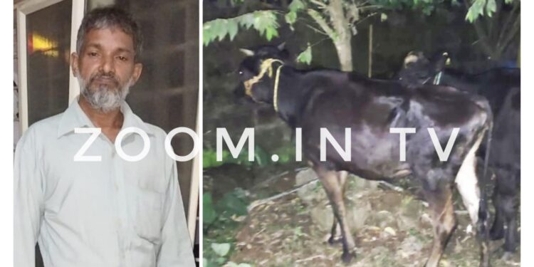 ಹಿಂ.ಜಾ.ವೇ. ಕಾರ್ಯಕರ್ತರ ಮಾಹಿತಿ : ಕಲ್ಲಡ್ಕದಲ್ಲಿ ಅಕ್ರಮ ಗೋ ಸಾಗಾಟ ಪತ್ತೆ ಹಚ್ಚಿದ ಪೊಲೀಸರು : ಓರ್ವ ಆರೋಪಿ, ಜಾನುವಾರು ವಶಕ್ಕೆ, ಮತ್ತಿಬ್ಬರು ಪರಾರಿ..!!