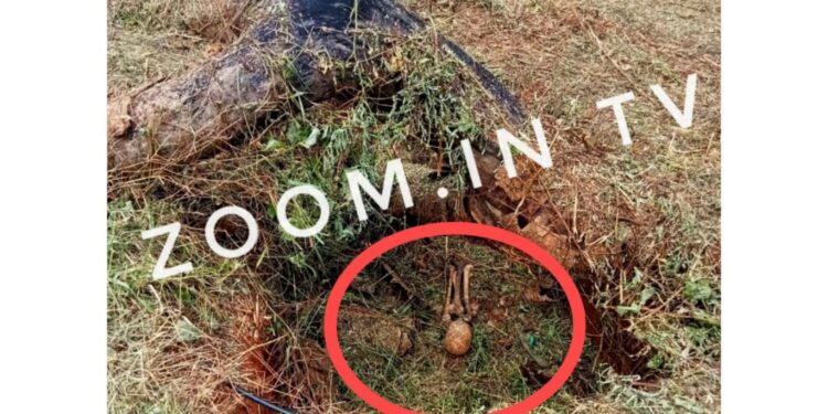 ಪುತ್ತೂರು: ಸಿದ್ಯಾಳ ಸಮೀಪ ವ್ಯಕ್ತಿಯೋರ್ವರ ಎಲುಬು ಪತ್ತೆ : ತಾರಿಗುಡ್ಡೆ ಮೂಲದ ವ್ಯಕ್ತಿ ಎಂಬ ಶಂಕೆ..!!??