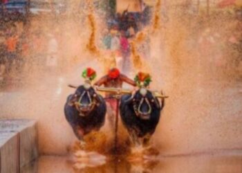 ಪುತ್ತೂರು: ಇತಿಹಾಸ ಪ್ರಸಿದ್ಧ ‘ಕೋಟಿ-ಚೆನ್ನಯ’ ಜೋಡುಕರೆ ಕಂಬಳಕ್ಕೆ ದಿನ ನಿಗದಿ :; ಫೆಬ್ರವರಿಯಲ್ಲಿ ನಡೆಯಲಿದೆ 30ನೇ ವರ್ಷದ ‘ಪುತ್ತೂರು ಕಂಬಳ’..