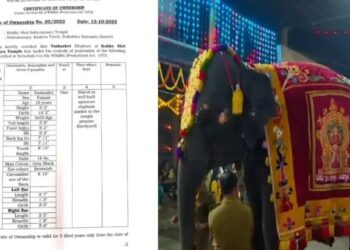 ಕುಕ್ಕೆ ಸುಬ್ರಹ್ಮಣ್ಯ: ‘ಯಶಸ್ವಿನಿ’ ಆನೆಗೆ ಮಾಲಿಕತ್ವದ ಪ್ರಮಾಣ ಪತ್ರ