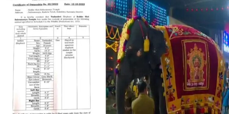 ಕುಕ್ಕೆ ಸುಬ್ರಹ್ಮಣ್ಯ: ‘ಯಶಸ್ವಿನಿ’ ಆನೆಗೆ ಮಾಲಿಕತ್ವದ ಪ್ರಮಾಣ ಪತ್ರ