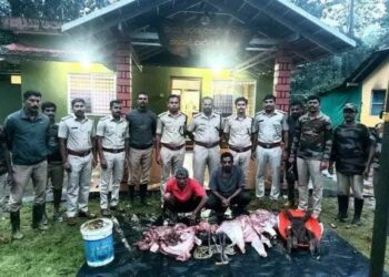 ಸುಳ್ಯ: ದಬ್ಬಡ್ಕ ರಕ್ಷಿತಾರಣ್ಯದಲ್ಲಿ ಕಡವೆ ಬೇಟೆ: ಇಬ್ಬರ ಬಂಧನ