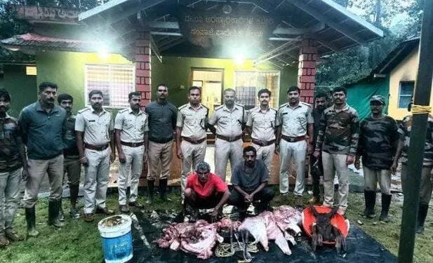 ಸುಳ್ಯ: ದಬ್ಬಡ್ಕ ರಕ್ಷಿತಾರಣ್ಯದಲ್ಲಿ ಕಡವೆ ಬೇಟೆ: ಇಬ್ಬರ ಬಂಧನ