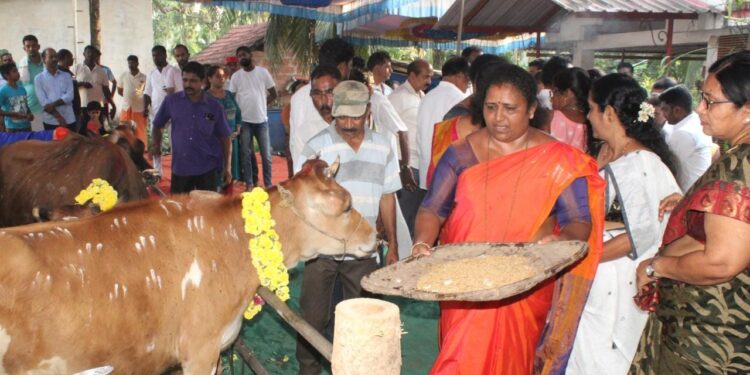 ಪಾಣೆಮಂಗಳೂರು ಬ್ಲಾಕ್ ಮಹಿಳಾ ಕಾಂಗ್ರೆಸ್ ವತಿಯಿಂದ ಗೋ ಪೂಜಾ ಕಾರ್ಯಕ್ರಮ