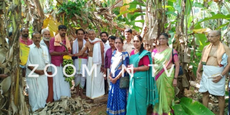 ಕೆಮ್ಮಿಂಜೆ ದೇವಸ್ಥಾನದ ಷಷ್ಠಿ ಮಹೋತ್ಸವಕ್ಕೆ ಗೊನೆ ಮುಹೂರ್ತ