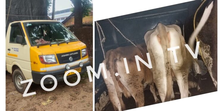 ವಿಟ್ಲ: ಎಸ್ಐ ಸಂದೀಪ್ ಕುಮಾರ್ ನೇತೃತ್ವದಲ್ಲಿ ಭರ್ಜರಿ ಭೇಟೆ :; ಅಕ್ರಮ ಗೋ ಸಾಗಾಟ ಮಾಡುತ್ತಿದ್ದ ಇಬ್ಬರು ಆರೋಪಿಗಳು ವಶಕ್ಕೆ..!!