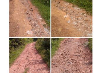 ತೀರಾ ಹದಗೆಟ್ಟ ಸ್ಥಿತಿಯಲ್ಲಿ ಜೋಗಿಮಠ-ಗಮಿ ರಸ್ತೆ : ಸಾರ್ವಜನಿಕ ವಲಯದಲ್ಲಿ ತೀವ್ರ ಆಕ್ರೋಶ