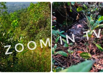 ವಿಟ್ಲ: ಪೆಟ್ರೋಲ್ ಸುರಿದು ಯುವಕನ ಬರ್ಬರ ಹತ್ಯೆ..!!! ಆರೋಪಿಯ ಬಂಧನ