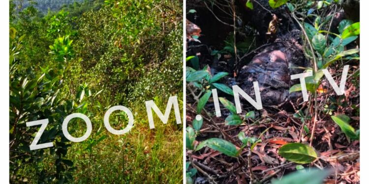 ವಿಟ್ಲ: ಪೆಟ್ರೋಲ್ ಸುರಿದು ಯುವಕನ ಬರ್ಬರ ಹತ್ಯೆ..!!! ಆರೋಪಿಯ ಬಂಧನ