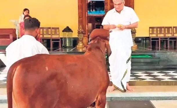 360 ಕಿ.ಮೀ ನಡೆದು ಗಿರ್ ಕರುವಿನ ಜೊತೆ ಶ್ರೀಕ್ಷೇತ್ರ ಧರ್ಮಸ್ಥಳ ತಲುಪಿದ ಯುವಕ..!!