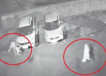 ಶ್ರದ್ಧಾಳ ಬರ್ಬರ ಹತ್ಯೆ ಮಾಸುವ ಮುನ್ನವೇ ಮತ್ತೊಂದು ಘಟನೆ: ಮಗನ ಜೊತೆ ಸೇರಿ ಪತಿಯನ್ನು ತುಂಡು ತುಂಡಾಗಿ ಕತ್ತರಿಸಿ ಫ್ರಿಡ್ಜ್​ನಲ್ಲಿಟ್ಟ ಪತ್ನಿ..!!