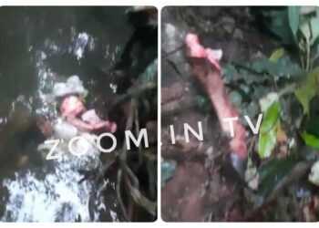 ಗುಂಡ್ಯ ಸಮೀಪ ಜಾನುವಾರು ತಲೆ, ಕಾಲು ಪತ್ತೆ : ಭಜರಂಗದಳ ಕಾರ್ಯಕರ್ತರಿಂದ ಪೊಲೀಸರಿಗೆ ಮಾಹಿತಿ