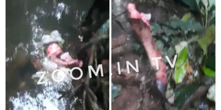 ಗುಂಡ್ಯ ಸಮೀಪ ಜಾನುವಾರು ತಲೆ, ಕಾಲು ಪತ್ತೆ : ಭಜರಂಗದಳ ಕಾರ್ಯಕರ್ತರಿಂದ ಪೊಲೀಸರಿಗೆ ಮಾಹಿತಿ