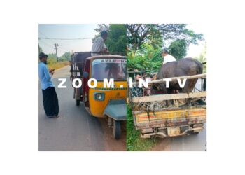 ಸಜೀಪ : ಬಜರಂಗದಳ ಕಾರ್ಯಕರ್ತರ ಕಾರ್ಯಾಚರಣೆ : ಅಕ್ರಮ ಗೋ ಸಾಗಾಟ ಮಾಡುತ್ತಿದ್ದ ಆರೋಪಿಗಳು ಪೊಲೀಸ್ ವಶಕ್ಕೆ..!!