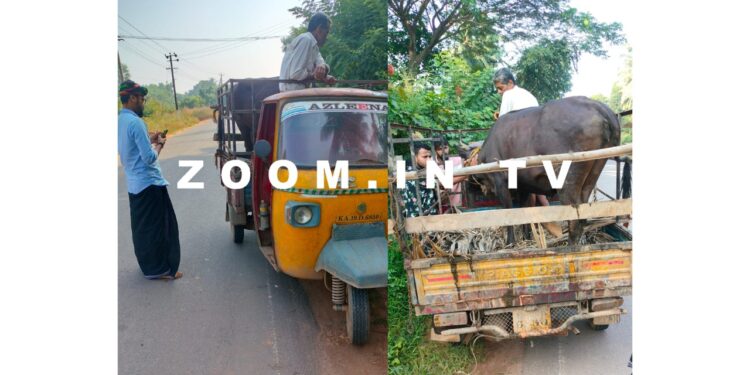 ಸಜೀಪ : ಬಜರಂಗದಳ ಕಾರ್ಯಕರ್ತರ ಕಾರ್ಯಾಚರಣೆ : ಅಕ್ರಮ ಗೋ ಸಾಗಾಟ ಮಾಡುತ್ತಿದ್ದ ಆರೋಪಿಗಳು ಪೊಲೀಸ್ ವಶಕ್ಕೆ..!!