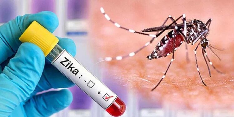 ಕರ್ನಾಟಕದಲ್ಲಿ ಝಿಕಾ ವೈರಸ್ ಪತ್ತೆ : ಡೇಂಜರಸ್ ವೈರಸ್ ನ ಲಕ್ಷಣಗಳೇನು..!!!??