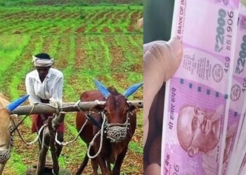 ಇಂದು ರೈತರ ಬ್ಯಾಂಕ್ ಖಾತೆಗೆ ಬೀಳಲಿದೆ ಪಿಎಂ ಕಿಸಾನ್ ಸಮ್ಮಾನ್ ನಿಧಿ ಯೋಜನೆಯ 13ನೇ ಕಂತು..!!