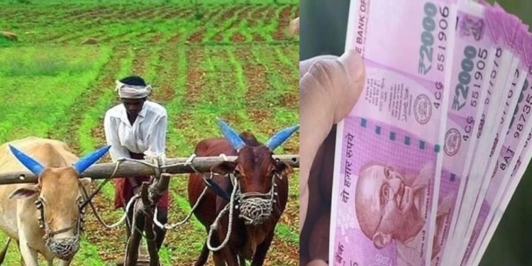 ಇಂದು ರೈತರ ಬ್ಯಾಂಕ್ ಖಾತೆಗೆ ಬೀಳಲಿದೆ ಪಿಎಂ ಕಿಸಾನ್ ಸಮ್ಮಾನ್ ನಿಧಿ ಯೋಜನೆಯ 13ನೇ ಕಂತು..!!