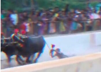 ಕಂಬಳದ ಕರೆಯಲ್ಲಿ ಬಿದ್ದರೂ ರೇಸ್ ಮುಗಿಸಿದ ಓಟಗಾರ ‘ವಂದಿತ್ ಶೆಟ್ಟಿ’ : ವೀಡಿಯೋ ವೈರಲ್