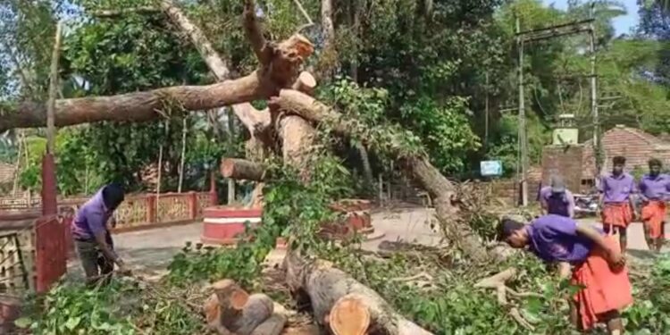 ಪುತ್ತೂರು: ದೇವಸ್ಥಾನದ ಪುಷ್ಕರಣಿ ಬಳಿ ಮುರಿತಗೊಂಡ ಅಶ್ವತ್ಥ ಮರದ ಗೆಲ್ಲುಗಳು ತೆರವು ಕಾರ್ಯಾಚರಣೆ