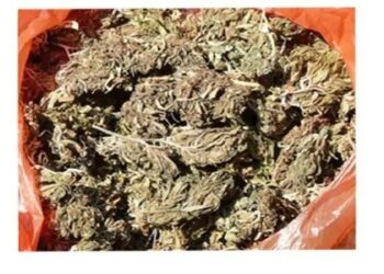 ಮಂಗಳೂರು: ವಿಚಾರಣಾಧೀನ ಖೈದಿಯ ಬಳಿ ಗಾಂಜಾ ಪತ್ತೆ : ವಶ