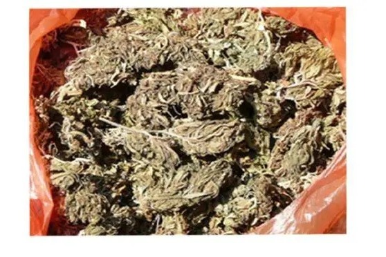 ಮಂಗಳೂರು: ವಿಚಾರಣಾಧೀನ ಖೈದಿಯ ಬಳಿ ಗಾಂಜಾ ಪತ್ತೆ : ವಶ