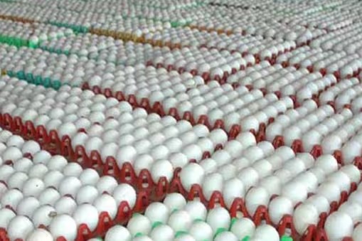 ಮತ್ತೆ ತಟ್ಟಿದ ಬೆಲೆ ಏರಿಕೆ ಬಿಸಿ : ದುಬಾರಿಯಾಯ್ತು ಮೊಟ್ಟೆ