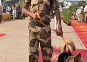 ಮಂಗಳೂರು: ವಿಮಾನ ನಿಲ್ದಾಣ ಭದ್ರತೆಗೆ ಮ್ಯಾಕ್ಸ್‌ ಮತ್ತು ರೇಂಜರ್‌ ಸೇರ್ಪಡೆ