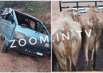 ವಿಟ್ಲ: ಅಕ್ರಮ ಗೋ ಸಾಗಾಟದ ವೇಳೆ ಕಾರು ಪಲ್ಟಿ : ಪೊಲೀಸರಿಂದ ಜಾನುವಾರು ರಕ್ಷಣೆ ; ಆರೋಪಿಗಳು ಪರಾರಿ..!!
