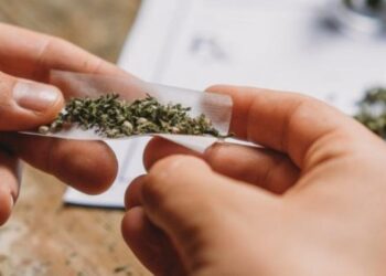 ಮಂಗಳೂರು: ಗಾಂಜಾ ಪ್ರಕರಣ: ಬಂಧಿತ ವೈದ್ಯರು, ವೈದ್ಯಕೀಯ ವಿದ್ಯಾರ್ಥಿಗಳಿಗೆ ಜಾಮೀನು ಮಂಜೂರು