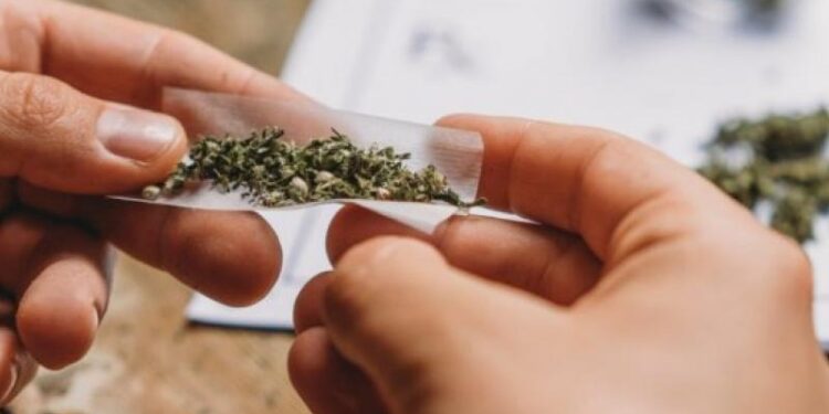 ಮಂಗಳೂರು: ಗಾಂಜಾ ಪ್ರಕರಣ: ಬಂಧಿತ ವೈದ್ಯರು, ವೈದ್ಯಕೀಯ ವಿದ್ಯಾರ್ಥಿಗಳಿಗೆ ಜಾಮೀನು ಮಂಜೂರು