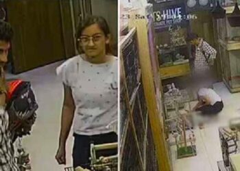 ಕೇರಳದ ಪೆಟ್ ಶಾಪ್ ನಿಂದ ನಾಯಿ ಮರಿ ಕದ್ದು ಸಿಕ್ಕಿಬಿದ್ದ ಉಡುಪಿ ಮೂಲದ ಇಂಜಿನಿಯರಿಂಗ್ ಸ್ಟೂಡೆಂಟ್ಸ್..!!!