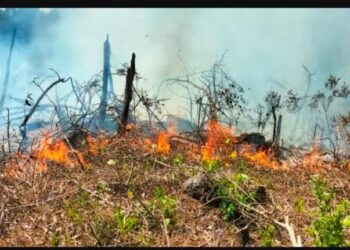 ವೀರಕಂಭ: ಕಲ್ಮಲೆ ರಕ್ಷಿತಾರಣ್ಯದಲ್ಲಿ ಅಗ್ನಿ ಅವಘಡ : ಮರ, ಪ್ರಾಣಿ-ಪಕ್ಷಿಗಳು ಬೆಂಕಿಗಾಹುತಿ..!!