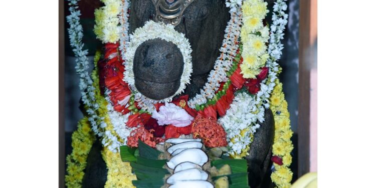 ವಿಟ್ಲ: ಶ್ರೀ ಬಸವನಗುಡಿಯ ಪ್ರತಿಷ್ಠಾ ವಾರ್ಷಿಕೋತ್ಸವ ಹಿನ್ನೆಲೆ ಗಣಪತಿ ಹವನ ಮತ್ತು ರಂಗಪೂಜೆ