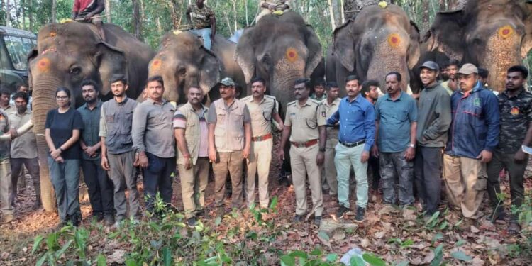 ಕಡಬ: ಕಾಡಾನೆ ಸೆರೆ ಕಾರ್ಯಚರಣೆಗೆ ಸಿದ್ಧತೆ : ಅಖಾಡಕ್ಕಿಳಿದ ಅಭಿಮನ್ಯು & ಗ್ಯಾಂಗ್..!!