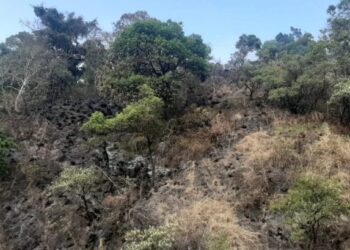 ಚಾರ್ಮಾಡಿ ಘಾಟಿಯಲ್ಲಿ ಬೆಂಕಿ : ಹತ್ತಾರು ಎಕರೆ ಅರಣ್ಯ ಅಗ್ನಿಗಾಹುತಿ