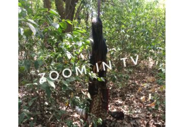 ಮದ್ದಡ್ಕದಲ್ಲಿ ಅಪರಿಚಿತ ಮಹಿಳೆಯ ಶವ ನೇಣು ಬಿಗಿದ ಸ್ಥಿತಿಯಲ್ಲಿ ಪತ್ತೆ