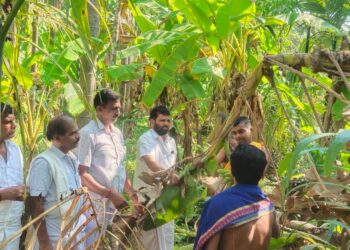 ಮುಂಡೂರು: ಕುಕ್ಕಿನಡ್ಕ ಶ್ರೀ ಸುಬ್ರಾಯ ದೇವಸ್ಥಾನದಲ್ಲಿ ಜಾತ್ರೋತ್ಸವಕ್ಕೆ ಗೊನೆ ಮುಹೂರ್ತ, ಚಪ್ಪರ ಮುಹೂರ್ತ