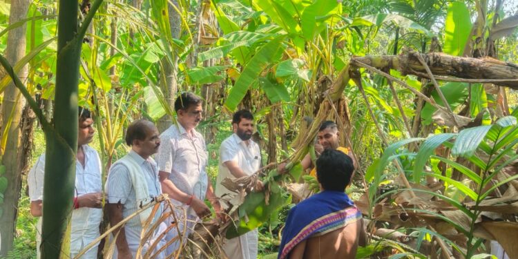 ಮುಂಡೂರು: ಕುಕ್ಕಿನಡ್ಕ ಶ್ರೀ ಸುಬ್ರಾಯ ದೇವಸ್ಥಾನದಲ್ಲಿ ಜಾತ್ರೋತ್ಸವಕ್ಕೆ ಗೊನೆ ಮುಹೂರ್ತ, ಚಪ್ಪರ ಮುಹೂರ್ತ
