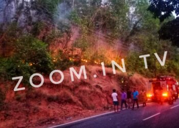 ವಿಟ್ಲ: ಬಳ್ಳಮಲೆ ರಕ್ಷಿತಾರಣ್ಯದಲ್ಲಿ ಅಗ್ನಿ ಅವಘಡ : ಅಗ್ನಿಶಾಮಕ ದಳ ಮತ್ತು ಸ್ಥಳೀಯರಿಂದ ಕಾರ್ಯಾಚರಣೆ..!!