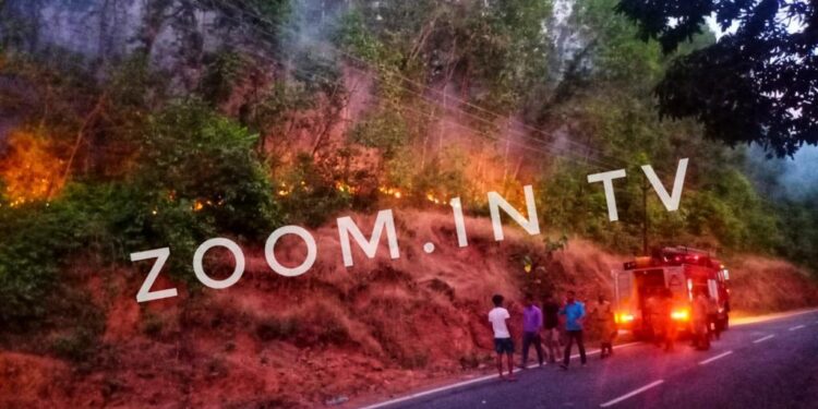 ವಿಟ್ಲ: ಬಳ್ಳಮಲೆ ರಕ್ಷಿತಾರಣ್ಯದಲ್ಲಿ ಅಗ್ನಿ ಅವಘಡ : ಅಗ್ನಿಶಾಮಕ ದಳ ಮತ್ತು ಸ್ಥಳೀಯರಿಂದ ಕಾರ್ಯಾಚರಣೆ..!!