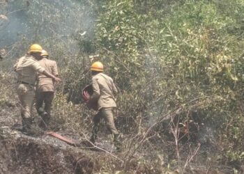 ನರಿಕೊಂಬು: ಗುಡ್ಡದಲ್ಲಿ ಅಗ್ನಿ ಅವಘಡ : ಅಗ್ನಿಶಾಮಕದಳದಿಂದ ಕಾರ್ಯಾಚರಣೆ