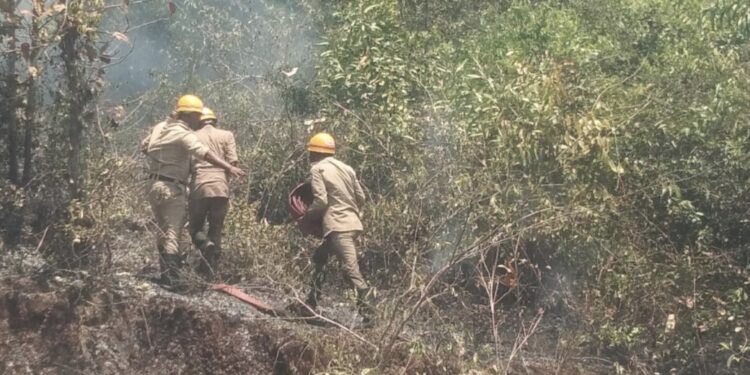 ನರಿಕೊಂಬು: ಗುಡ್ಡದಲ್ಲಿ ಅಗ್ನಿ ಅವಘಡ : ಅಗ್ನಿಶಾಮಕದಳದಿಂದ ಕಾರ್ಯಾಚರಣೆ