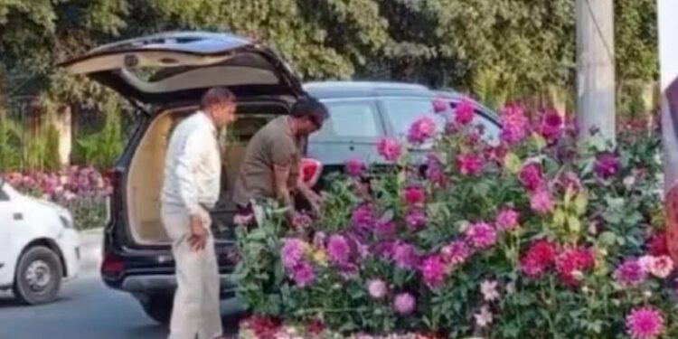 40 ಲಕ್ಷದ ಕಾರಿನಲ್ಲಿ ಬಂದು ಹೂವಿನ ಕುಂಡ ಕದ್ದೊಯ್ದ ಕಳ್ಳರು : ಓರ್ವ ಪೊಲೀಸ್ ವಶಕ್ಕೆ