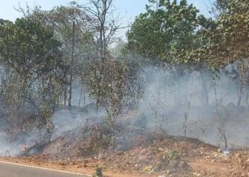 ಪುತ್ತೂರು: ವಿವಿಧೆಡೆ ಏಕಕಾಲದಲ್ಲಿ ಅಗ್ನಿ ಅವಘಡ..!!